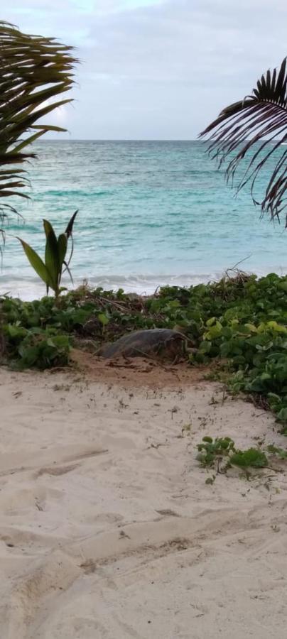 140 négyzetméteres, 4 hálószobás, 4 saját fürdőszobával rendelkező Apartman Mahé Island területén Anse Royale Kültér fotó